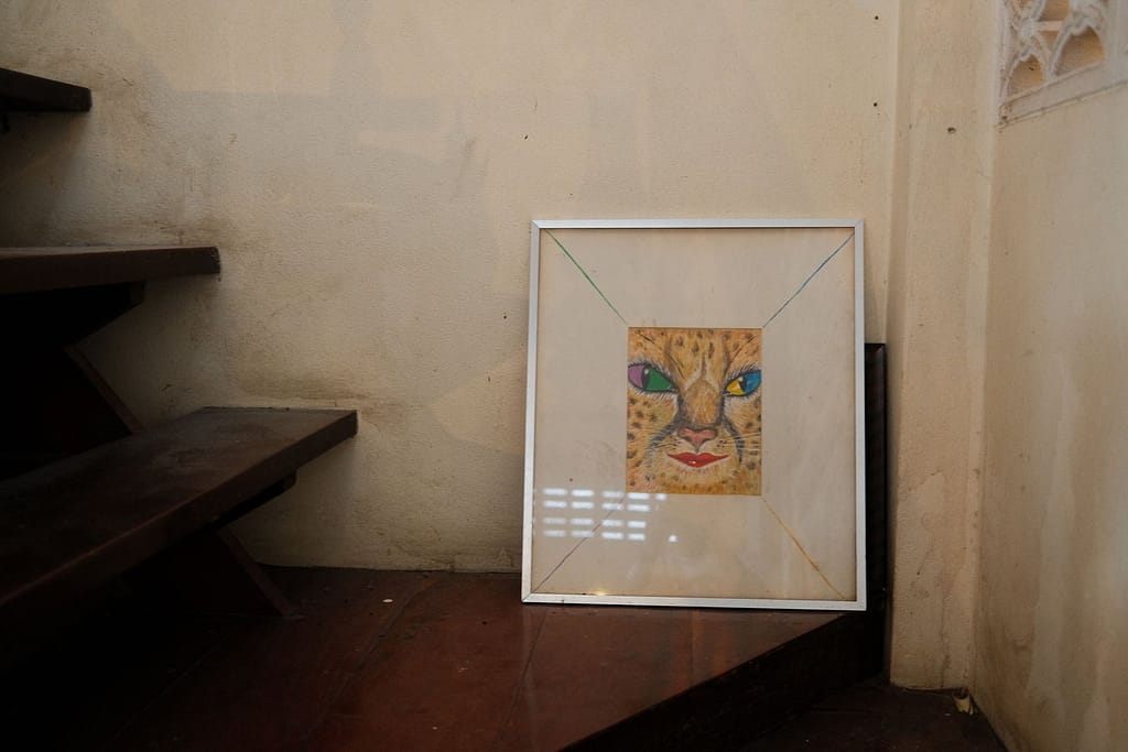 Pi-พาย Pi-พาย