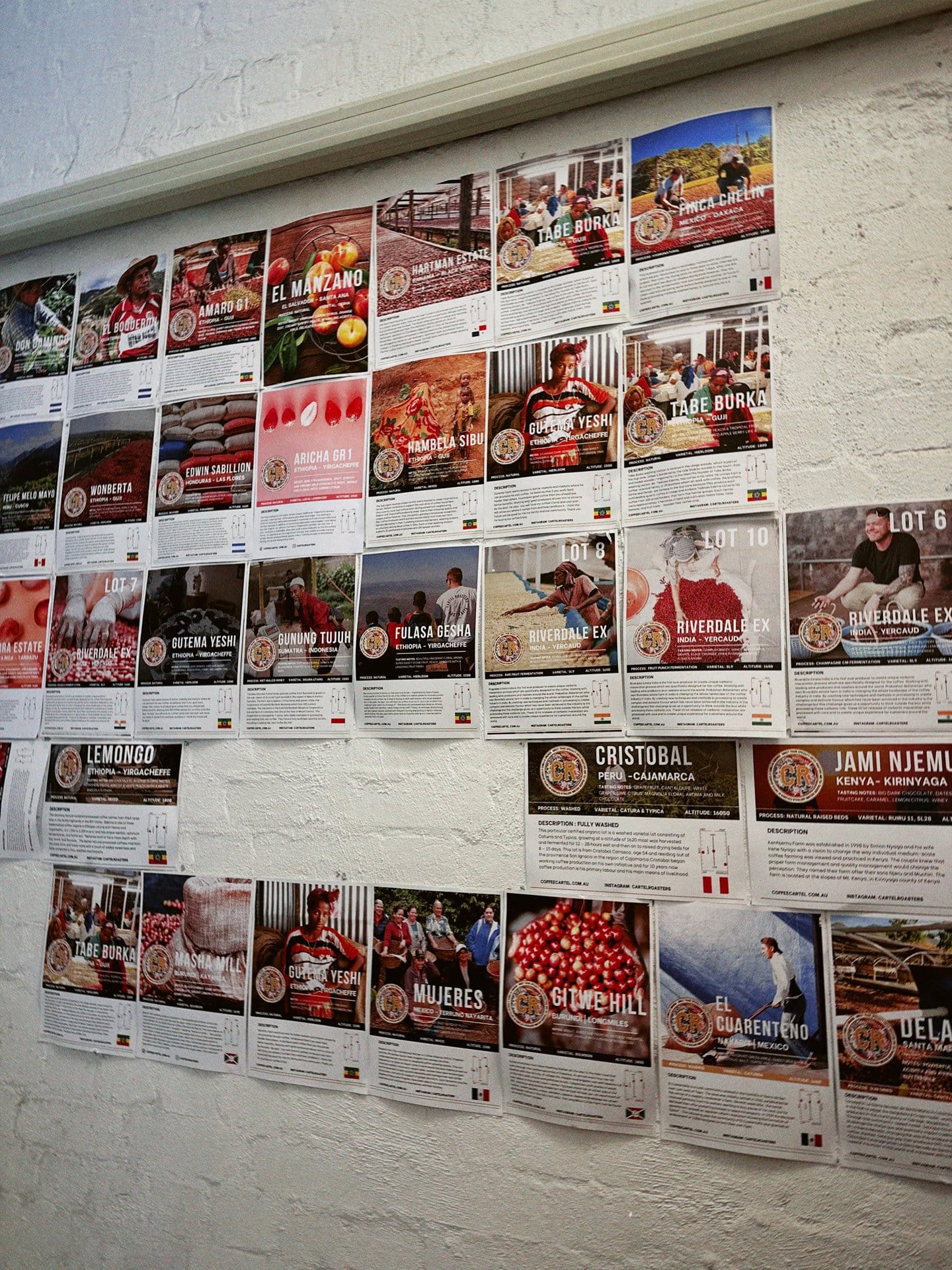 Blue Doors Coffee Melbourne dblack 2024 08 04 144835.073