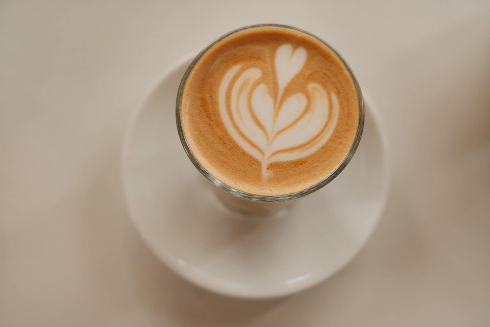 Terror Twilight Terror Twilight