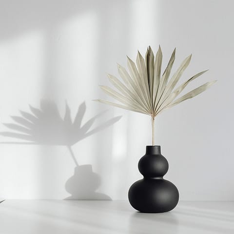 Black Ceramic Vase
