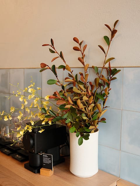 Market Lane Coffee South Melbourne