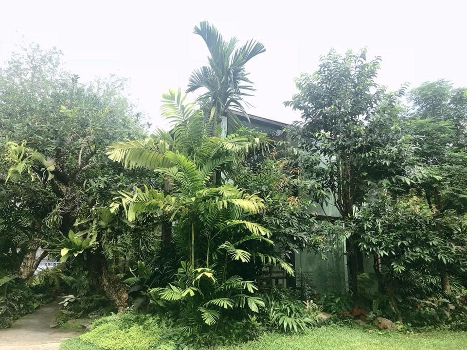 Patom Organic Living1